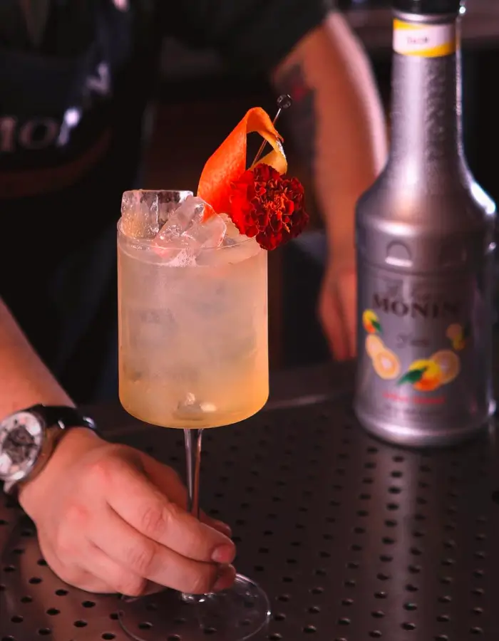 cc_monin_lifestyle_puree_9